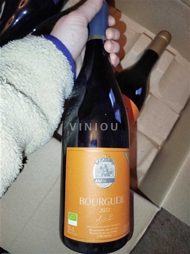 Valle della Loira Bourgueil Brunetière Vieilles vignes 2023