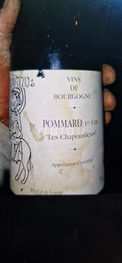 Borgonha Não especificado Premier Cru Les Chaponnières Não Sazonado