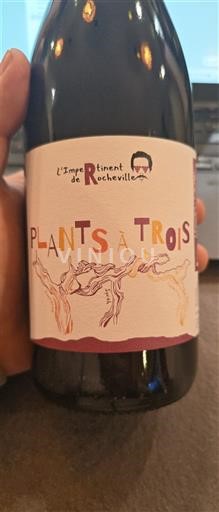 Loirevallei Saumur L'Impertinent de Rocheville Plants à Trois 2024