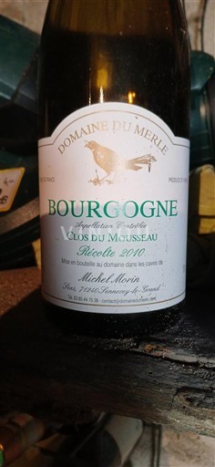 Bourgogne Domaine Merle Clos du Mousseau 2010