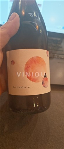 Alsacia No especificado Les Vins Pirouettes Noctambule 2022