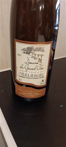 Valle della Loira Coteaux-de-saumur Domaine Grand Clos 2015