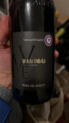 Piemonte Barolo Terre del Barolo VinumVitaEst 2020