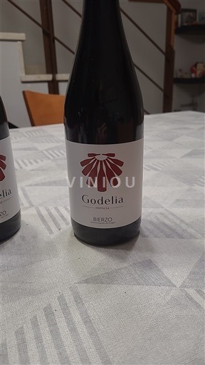 Castille và León Bierzo Godelia - Mencía Crianza 2019