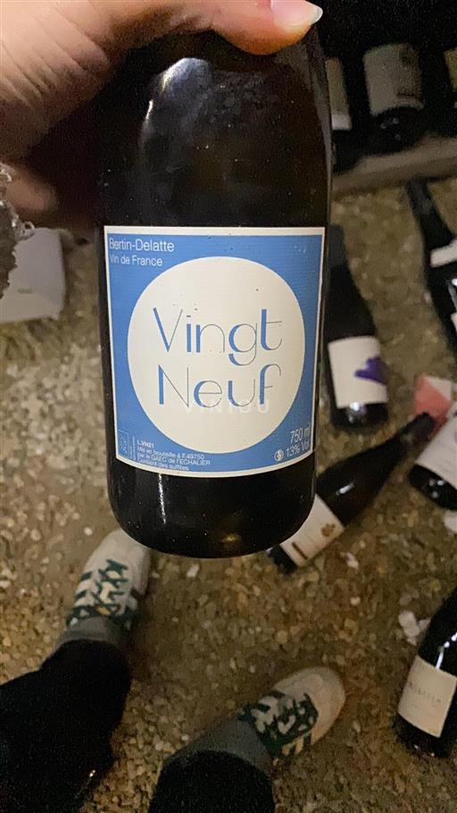 Valle della Loira Non specificato Bertin-Delatte Vingt Neuf Senza annata