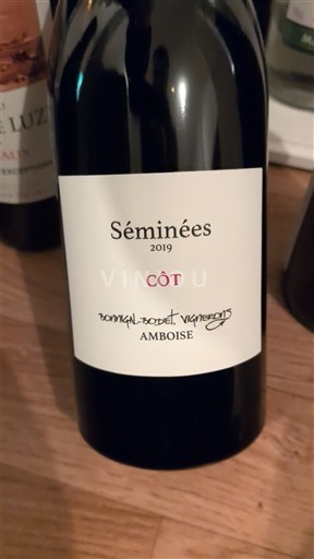 Jura Arbois Romuald Souvet Vignerons Séminées 2019