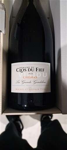 Beaujolais Chénas Domaine Clos du Fief Les Grandes Gaudelières 2023