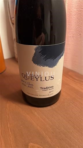 Ontario Penisola del Niagara Domaine Queylus Tradition Pinot Noir 2017