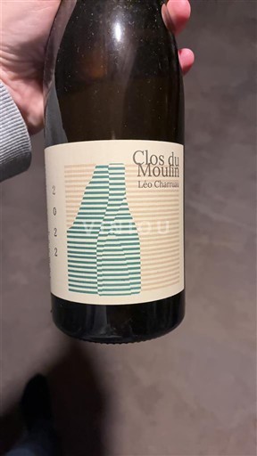 Valle della Loira Saumur Domaine Clos du Moulin Léo Chamuel 2022