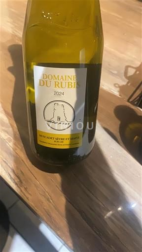 Valle della Loira Muscadet Sèvre et Maine Domaine Rubis 2024