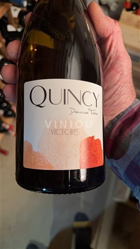 Loirevallei Quincy Domaine Domaines Tatin Victores Niet-geïntegreerd