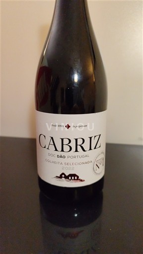Bồ Đào Nha Dão Cabriz Colheita Seleccionada 2022