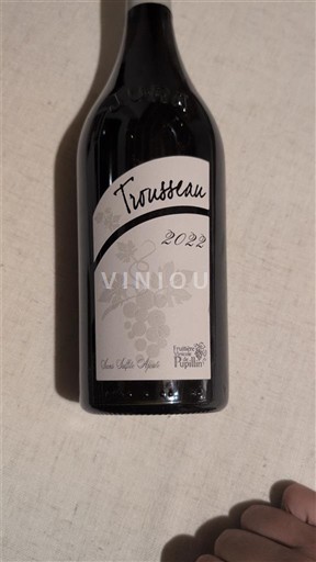 Jura Arbois Domaine André et Mireille Tissot Trousseau 2022