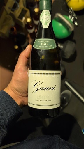 Portugal Dão. M.O.B. (Moreira, Olazabal & Borges) Gauvé 2021