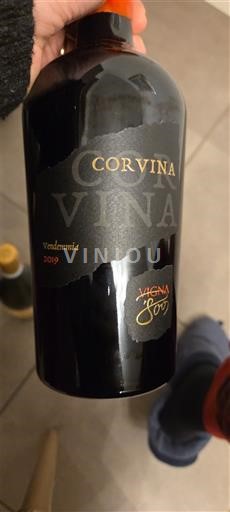 Vénétie Rosso del Veronese Vigna '800 Corvina 2019