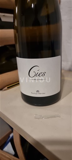 Galice Rías Baixas Rodrigo Méndez Cies 2024