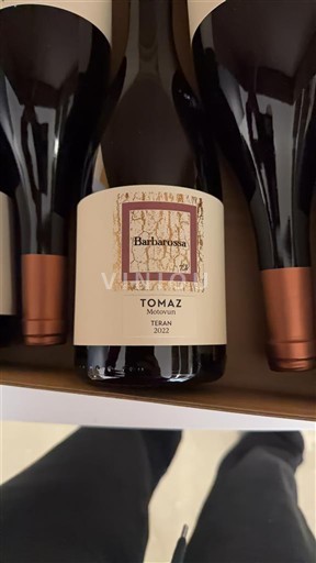 Istria No especificado Tomaz Barbarossa 2022