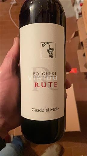 Toscana Bolgheri Guado al Melo Rute 2018