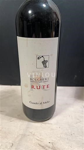 Toscana Bolgheri Guado al Melo Rute 2018