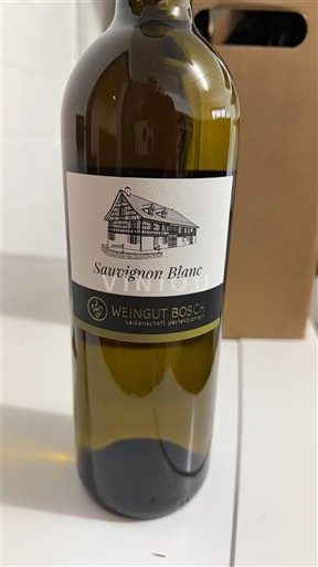 Turgovia Thurgau DOP Weingut Bosch Sauvignon Blanc 2024