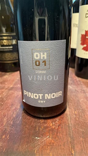 Baden OH 01 Không niên vụ