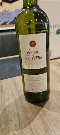 Alpe in reke Rona Ardeški vinogradni grici Domaine Taverna Neleten.