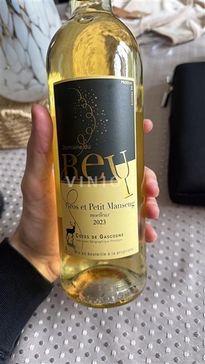 Zuidwest-Frankrijk Côtes de Gascogne Domaine Rey 2023