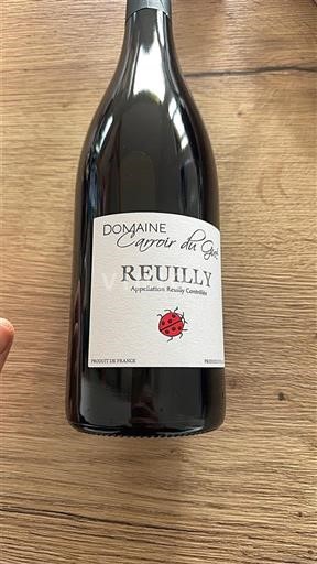Thung lũng sông Loire Reuilly Domaine Carroir du Gué 2023