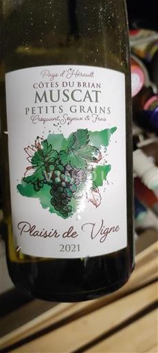 Languedoc và Roussillon Côtes du Brian Plaisir de Vigne 2021