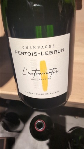 Šampanja Šampanjec Pertois-Lebrun L'extravertie 2022