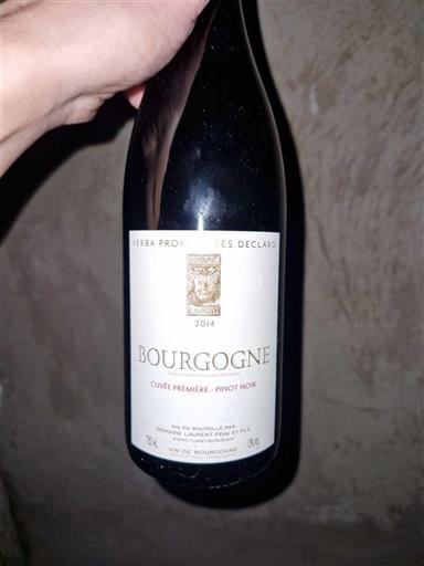Bourgogne Domaine Les Declaro Première - Pinot Noir 2014