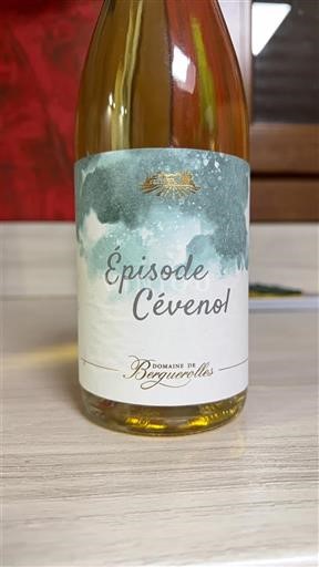 Languedoc và Roussillon Cévennes Domaine Berguerolles Épisode Cévenol Không niên vụ