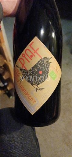 Valle della Loira Saumur-Champigny Domaine Champigny Le Piaf 2021