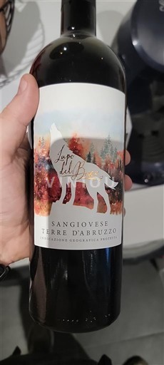 Abruzzo Non specificato Lupo dell'Abruzzo 2024