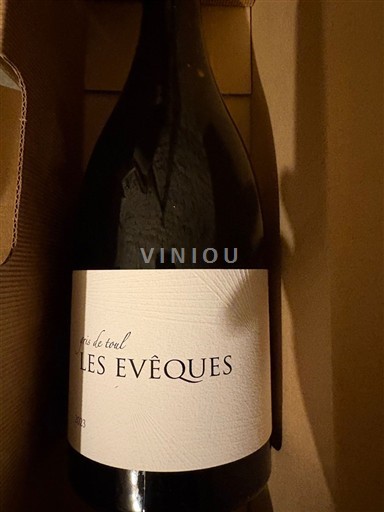 Lorena Côtes-de-toul Les Evêques 2023