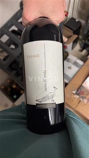 Puglia Không được chỉ định Cantina Diomede Canace 2013