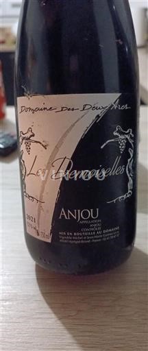Valle della Loira Anjou Domaine S Deux Arcs Les Demoiselles 2021