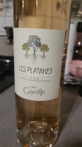 Provence, hạ lưu Rhône, Corse Var Gayolle Les Platanes Không niên vụ