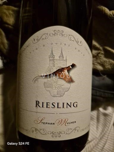 Alsasko Nespecifikováno Stephan Muller Neročník