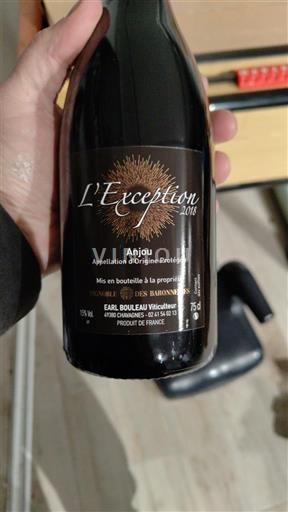 Valle della Loira Anjou EARL Boureau Vigneron L'Exception 2018