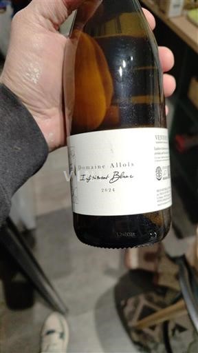 Vallée du Rhône Ventoux Domaine Allois Infiniment Blanc 2022