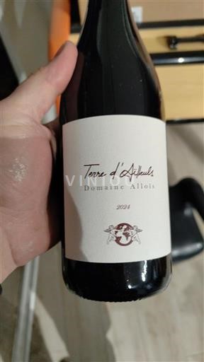 Languedoc und Roussillon Pays d'Oc Domaine Alleols Terre d'aïlluels 2021