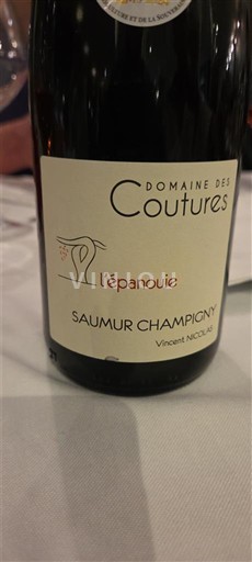 Vallée de la Loire Saumur-champigny Domaine S Coutures l'épanouie Non Millésimé