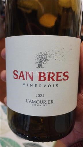Langvedok Minervois L'Amourier San Bres 2024