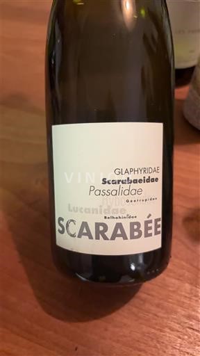 Thung lũng Rhône Côtes-du-rhône Domaine Des Escaravailles Scarabée 2022