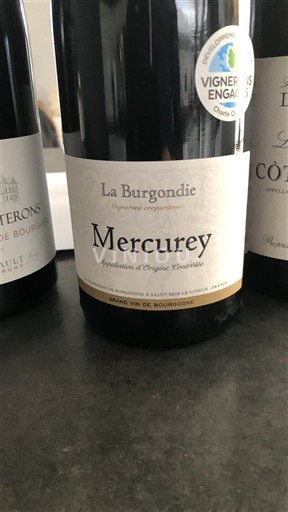 Borgogna Mercurey La Burgondie 2024