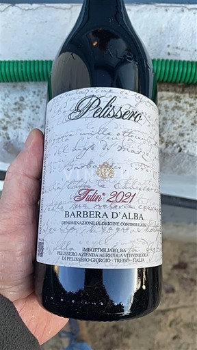 Piemonte Barbera d'Alba Pelissero Tulin 2021