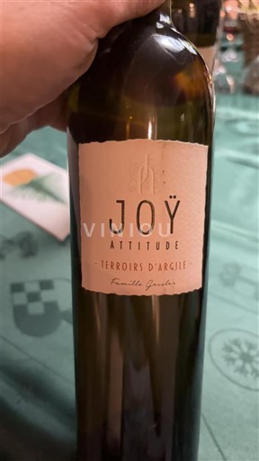 Sud-Ouest Côtes de Gascogne Domaine Joÿ Attitude 2019