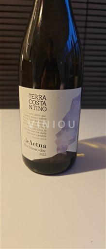 Sicilia Etna Terra Costantino deAetna 2022