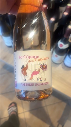 Loire-dalen Loiredalen Domaine La Renne Le Cépage des Copains 2024